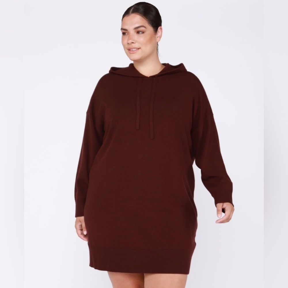 NWT Dex Plus Renee Hooded Sweater Dress - Size 1X